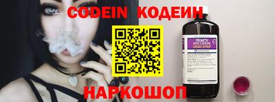 мдпв Кингисепп