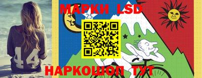 мдпв Кингисепп