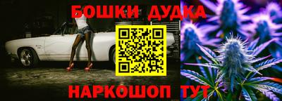 мдпв Кингисепп