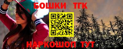 мдпв Кингисепп