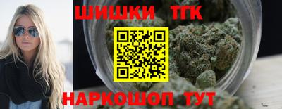 мдпв Кингисепп