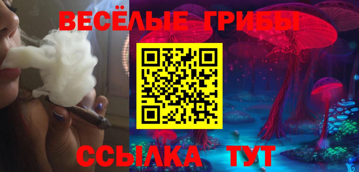 Псилоцибиновые грибы GOLDEN TEACHER  Вход с VPN  Усинск 